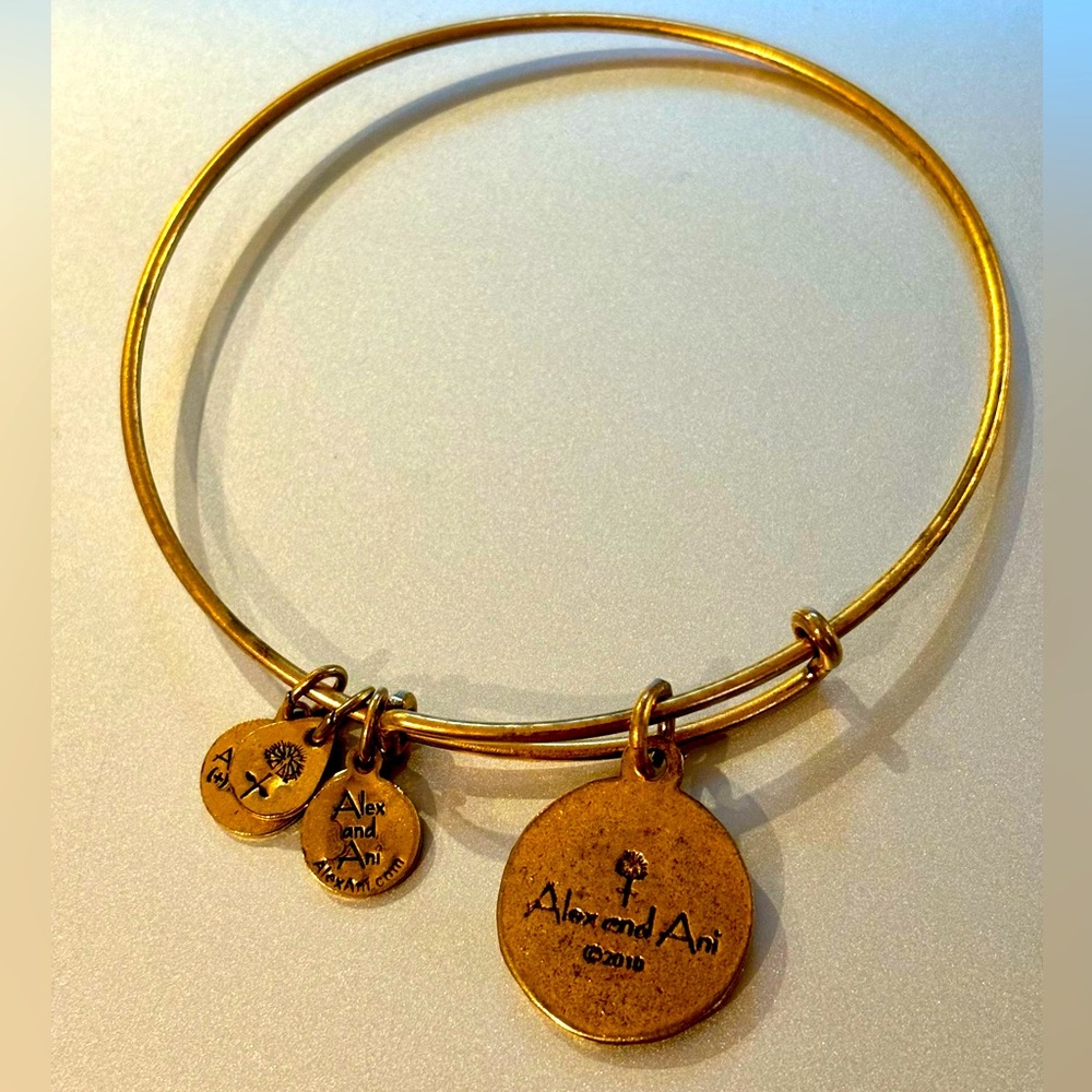Alex and Ani Boston Bangle